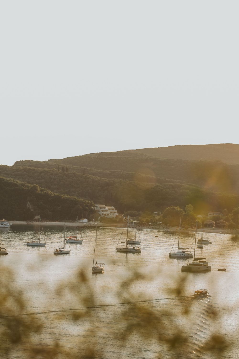Sailboats moored in a calm bay at golden sunset, with rolling green hills and warm lens flare in background.