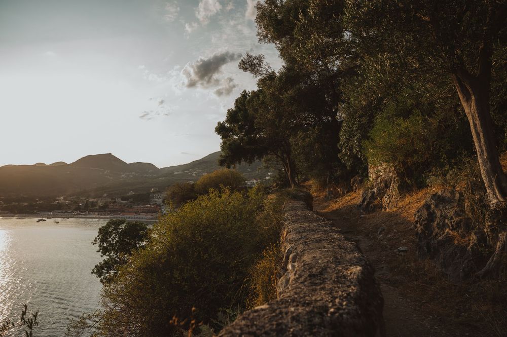 Scenic coastal path with stone wall winding through lush green trees at golden sunset.