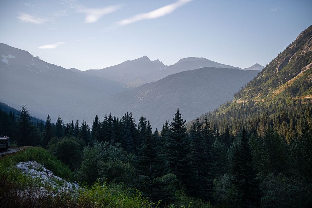 Panoramic view of misty forested mountain valley with pine trees and peaks at twilight.