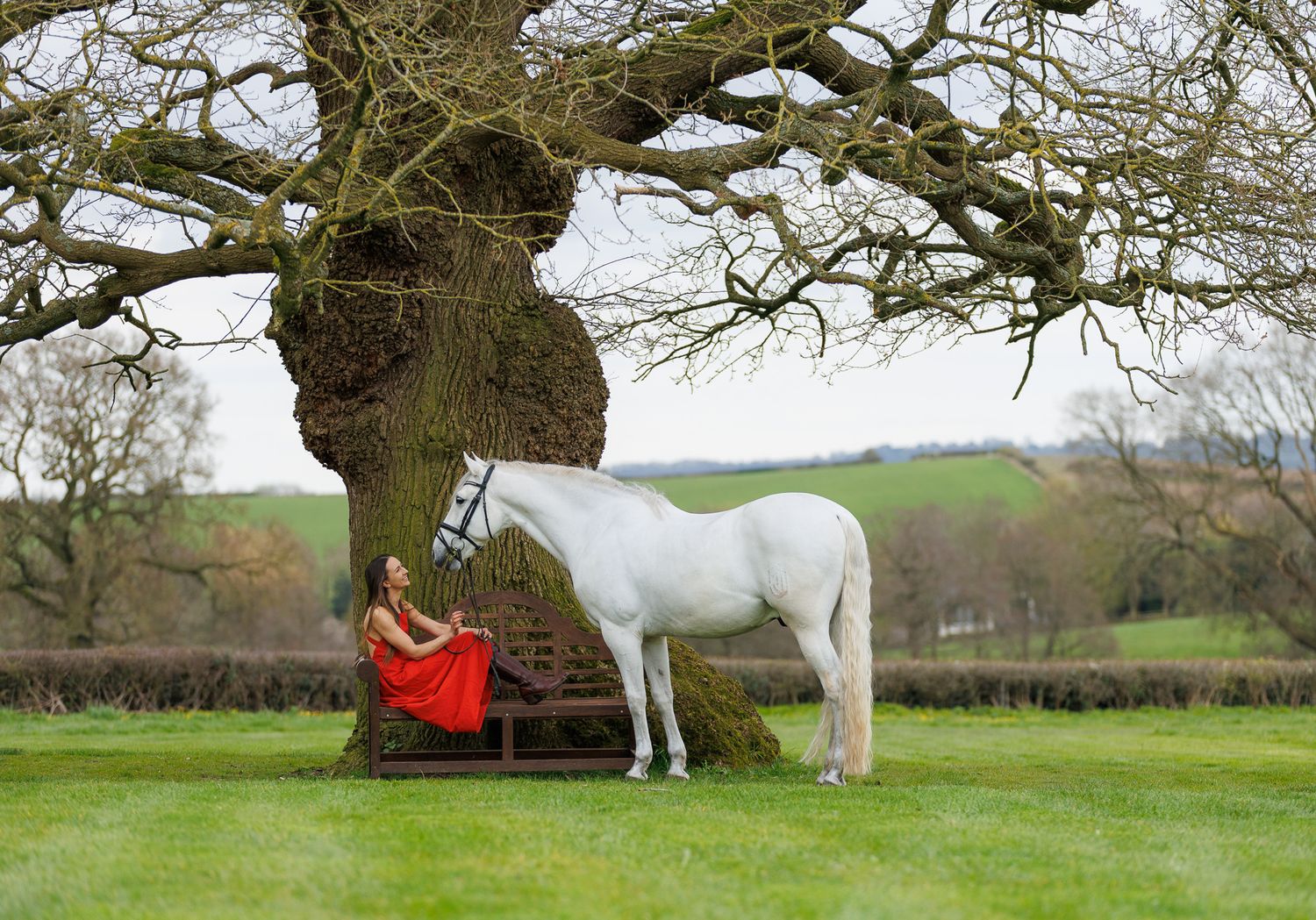 A person in a flowing red gown poses with a majestic black horse in an autumn forest setting.