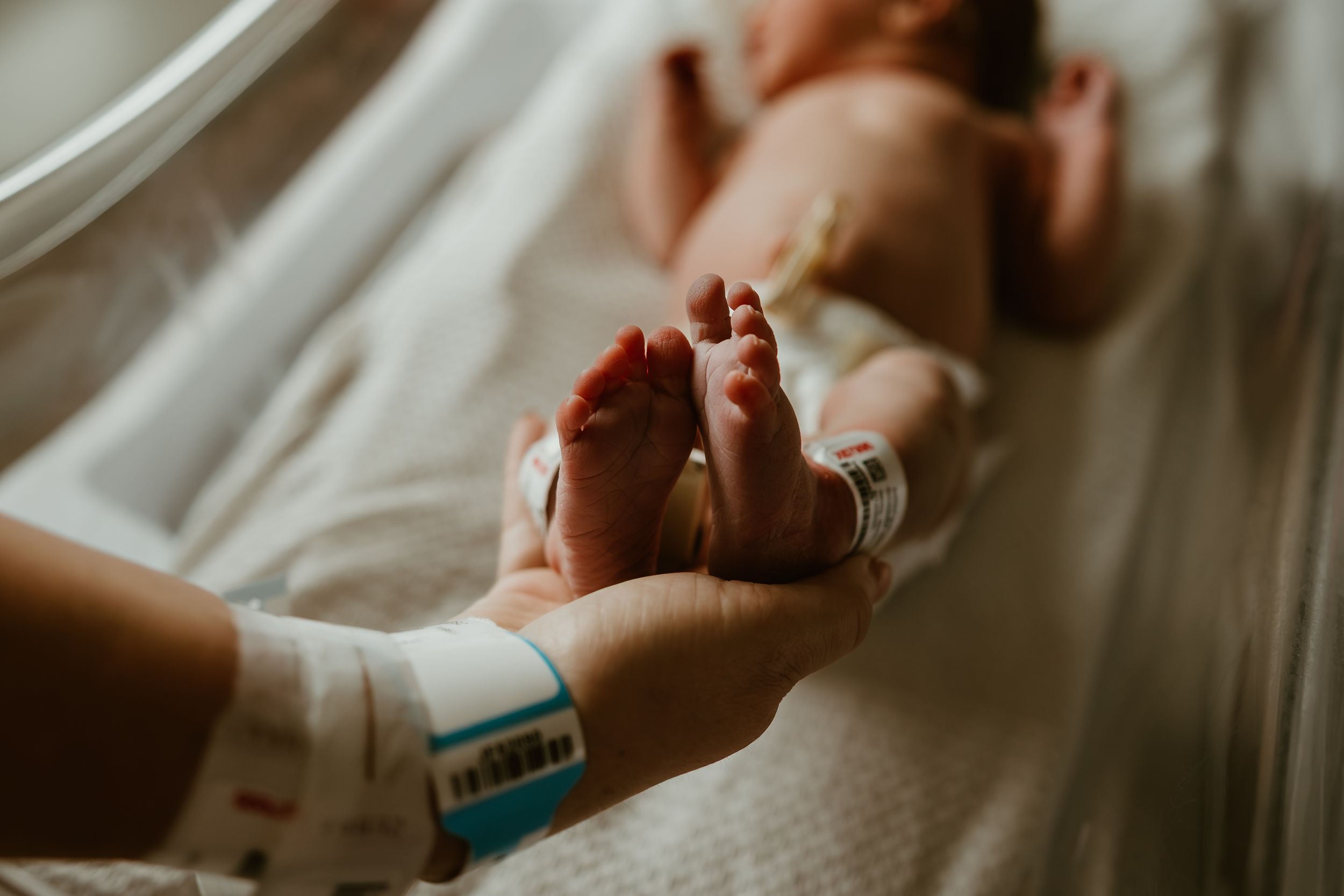 Close-up of parent holding tiny newborn baby feet with hospital identification bracelet.