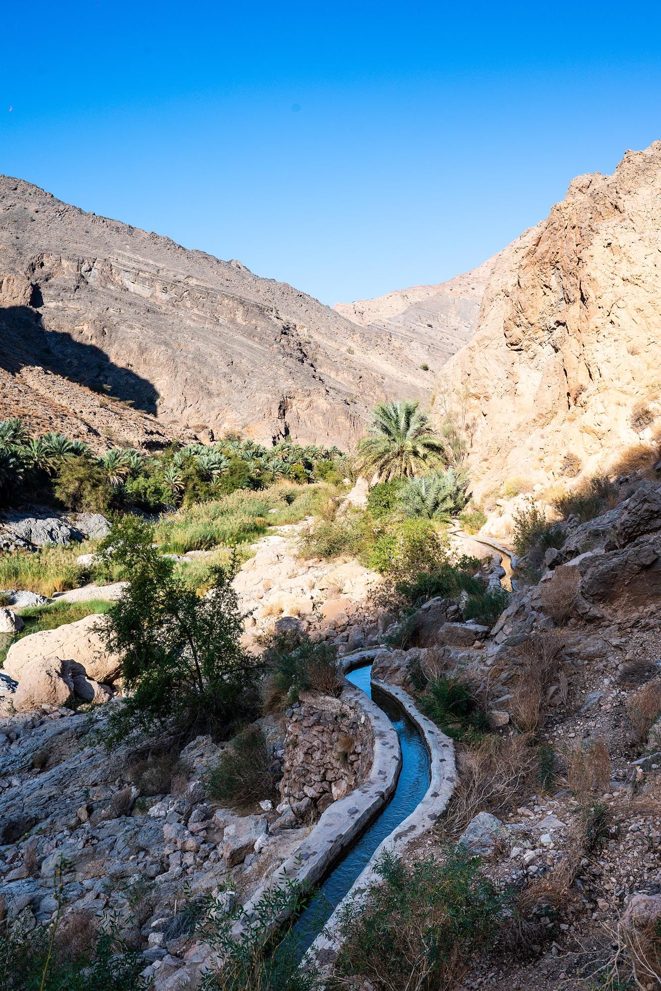 Ancient stone irrigation canal winds through rocky mountain terrain with palm trees and desert vegetation in Oman.