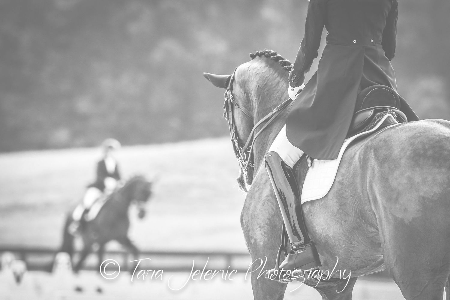 ©Dressage Black and White
Tara Jelenić Photography