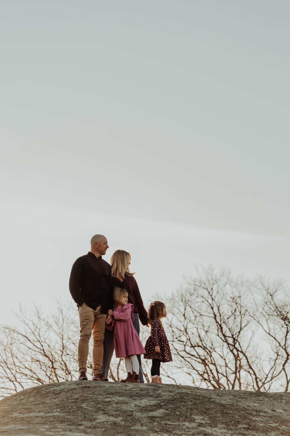 Family of four standing on a large rock, holding hands and gazing into the distance under a pale sky.