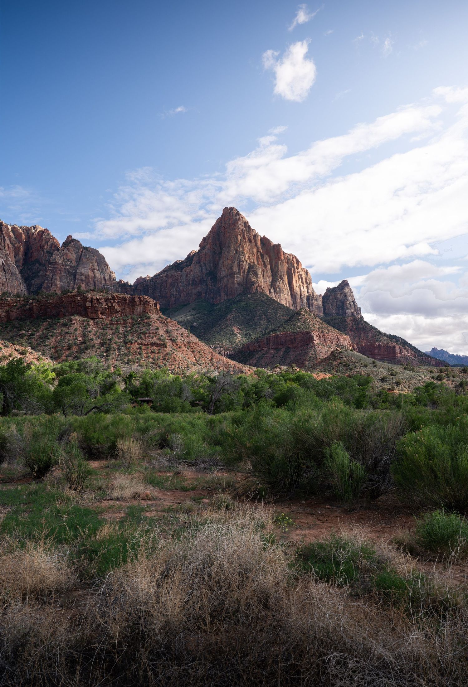 Panoramic view of majestic red rock formations and desert vegetation in Zion National Park under a bright blue sky.