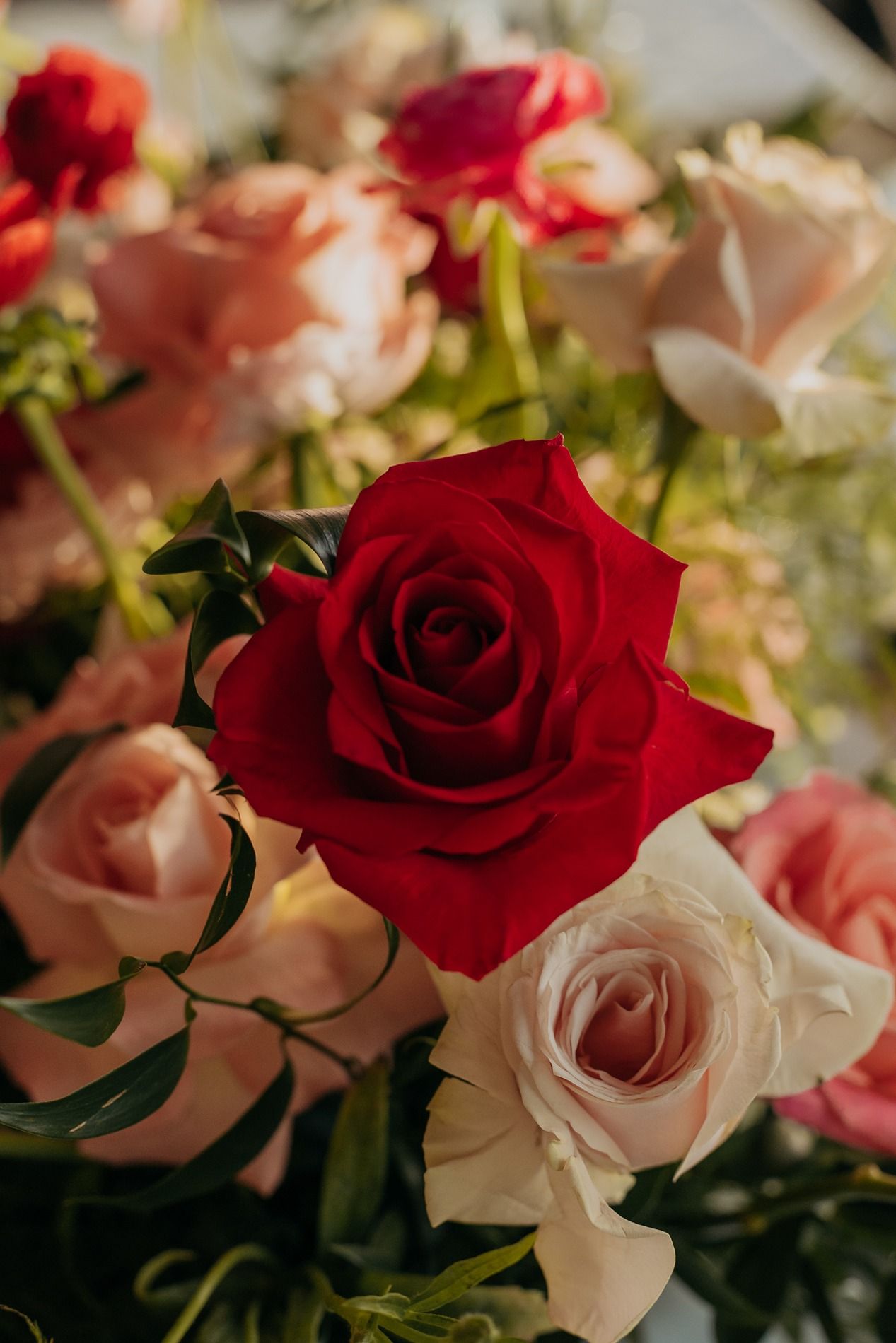 A romantic arrangement of red and pink roses with delicate petals and green foliage in soft natural lighting.