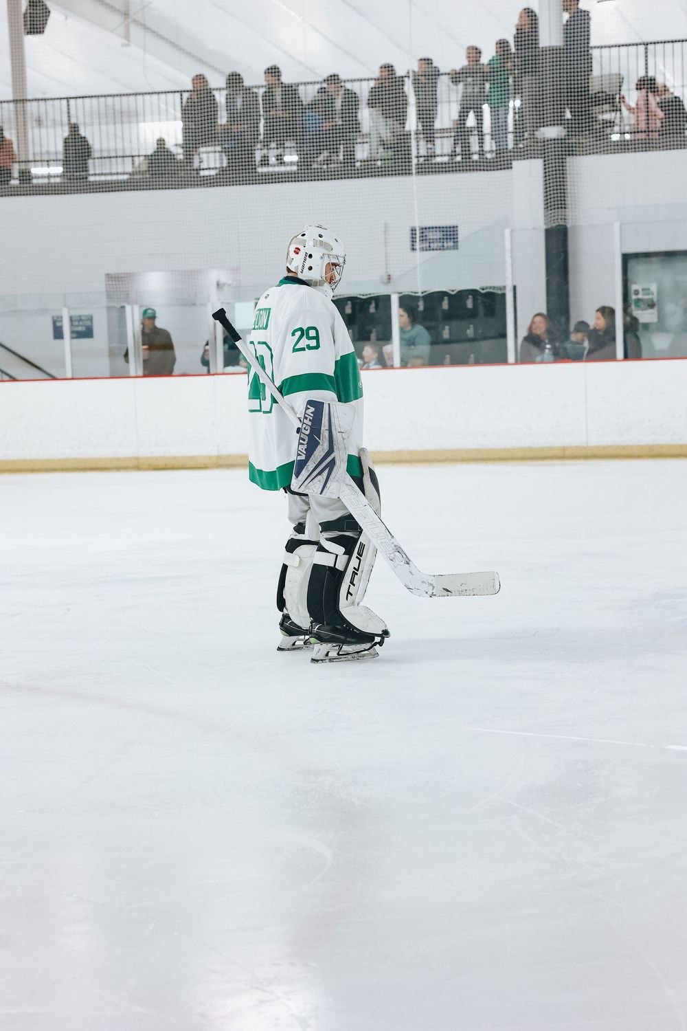 Hockey goalie in green and white uniform standing on ice with spectators visible in elevated viewing area.