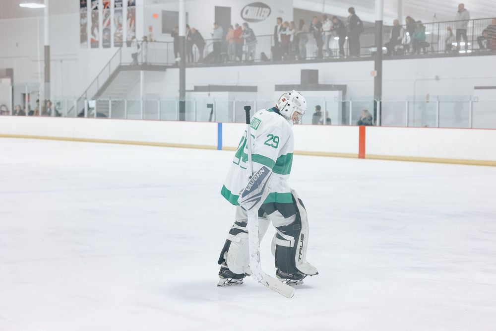 Hockey goalie in green and white uniform standing on ice with spectators watching from above.