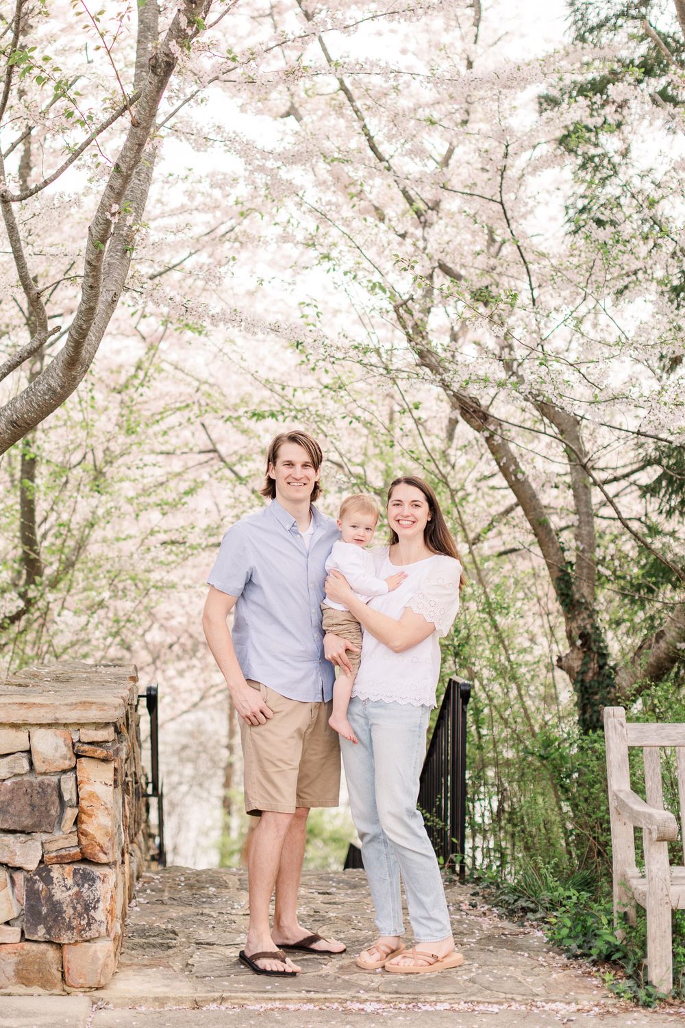 Cherry blossom mini sessions in Midlothian Virginia.
