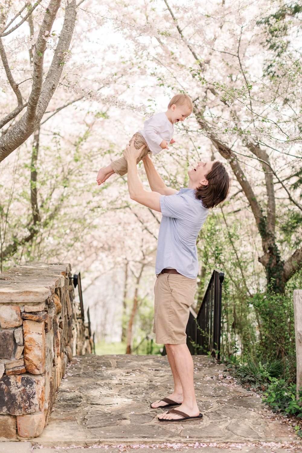 Cherry blossom mini sessions in Midlothian Virginia.