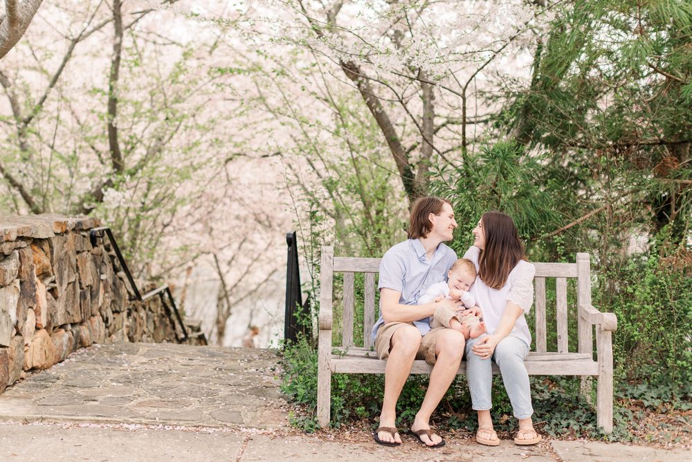 Cherry blossom mini sessions in Midlothian Virginia.