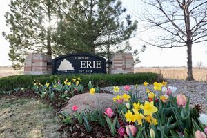 A colorful garden display of yellow daffodils and pink tulips blooming along a stone wall in springtime.