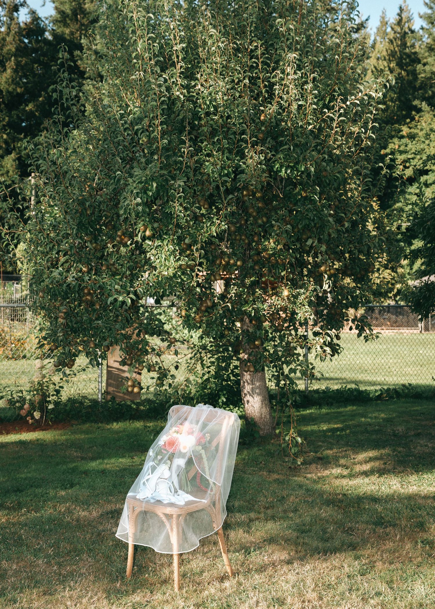A delicate white chair sits under a blooming tree in a sunlit garden setting.