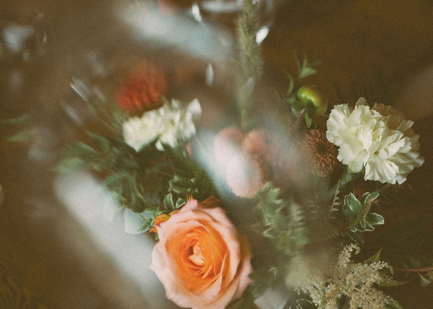 Dreamy close-up of peach roses with soft focus effect creating romantic atmosphere.