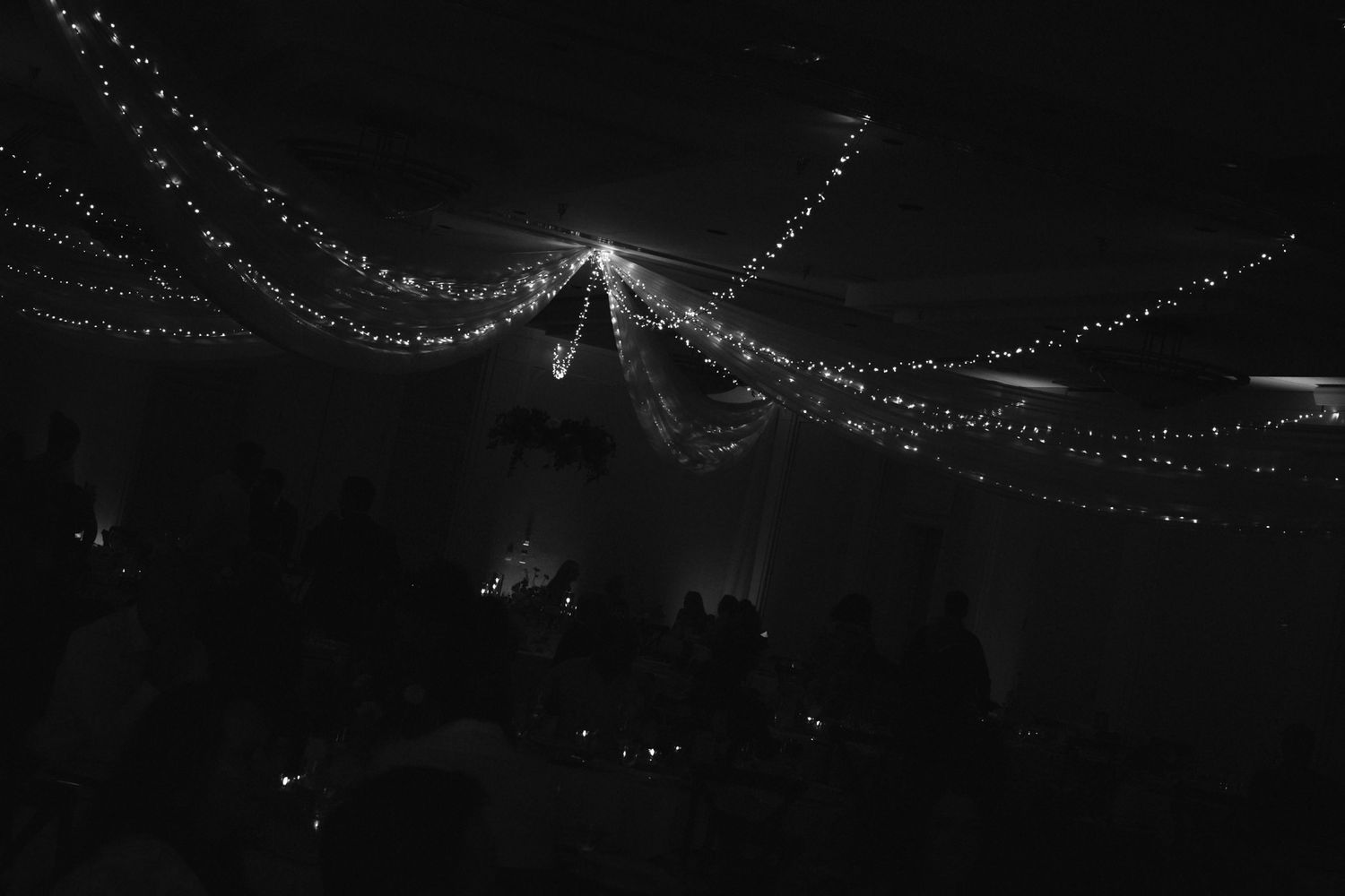 String lights create a magical canopy effect against a dark night sky.
