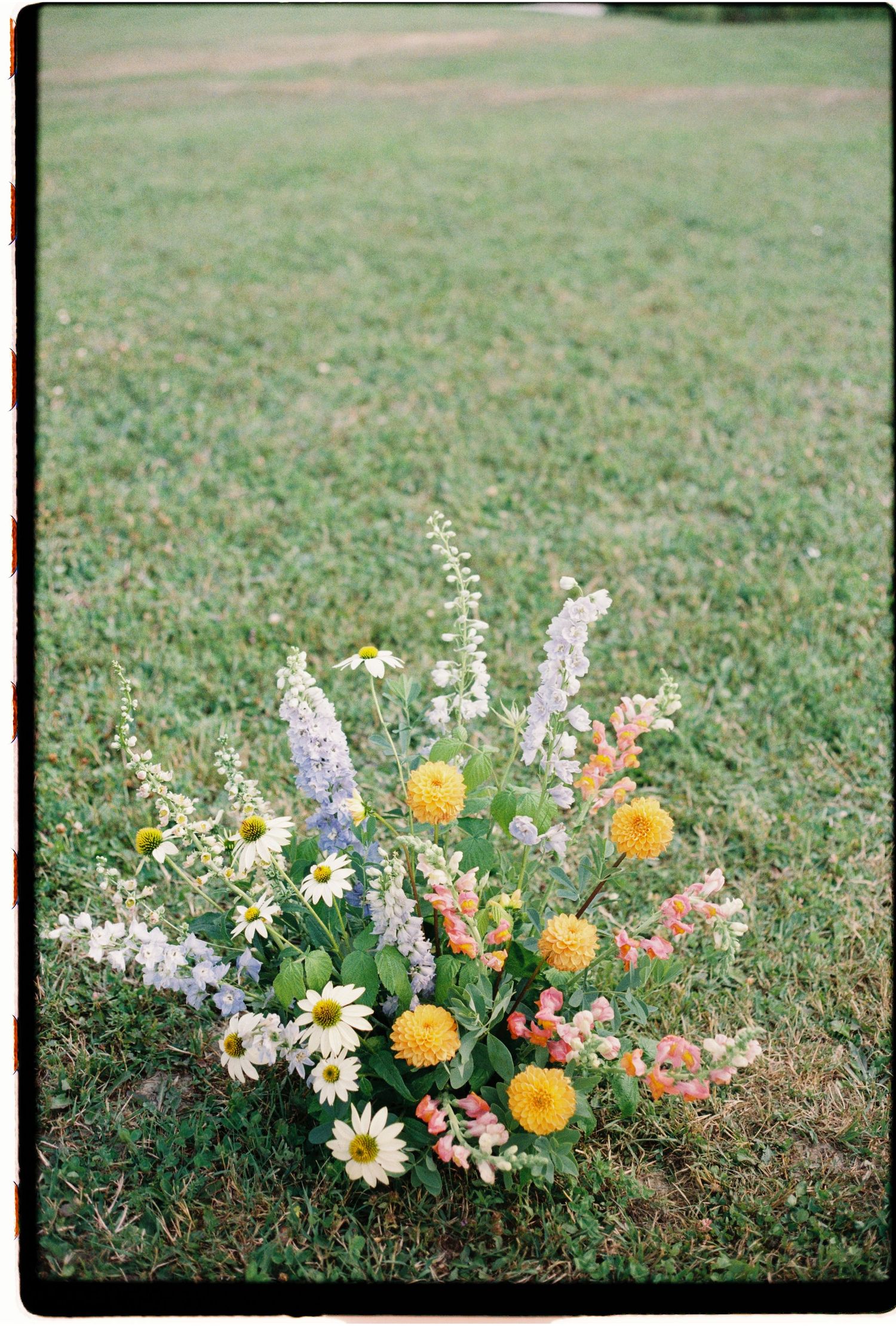 A colorful arrangement of wildflowers including daisies, marigolds, and delphinium growing in green grass.