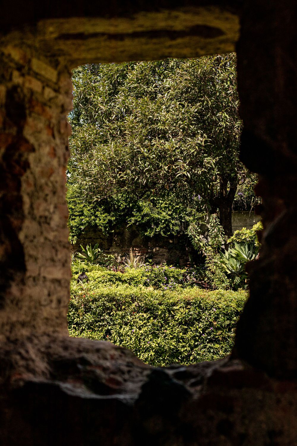 View through a stone window frame revealing lush green garden foliage.