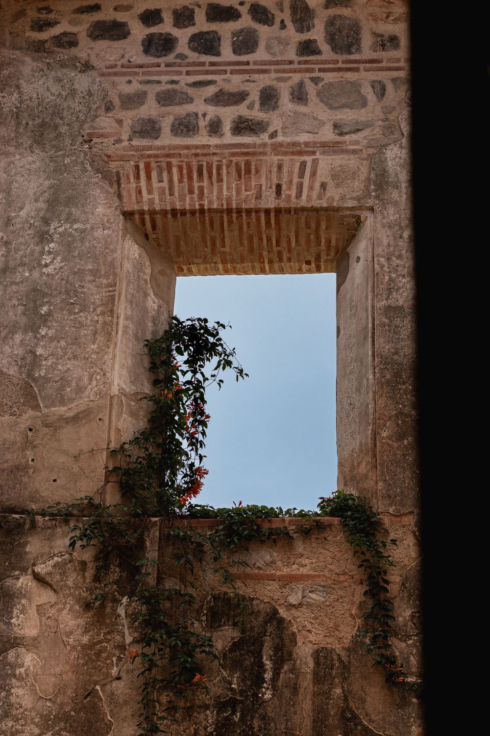 Ancient stone window opening framing blue sky and climbing vines.