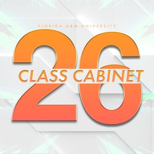 Florida A&M University banner with orange and white design elements.