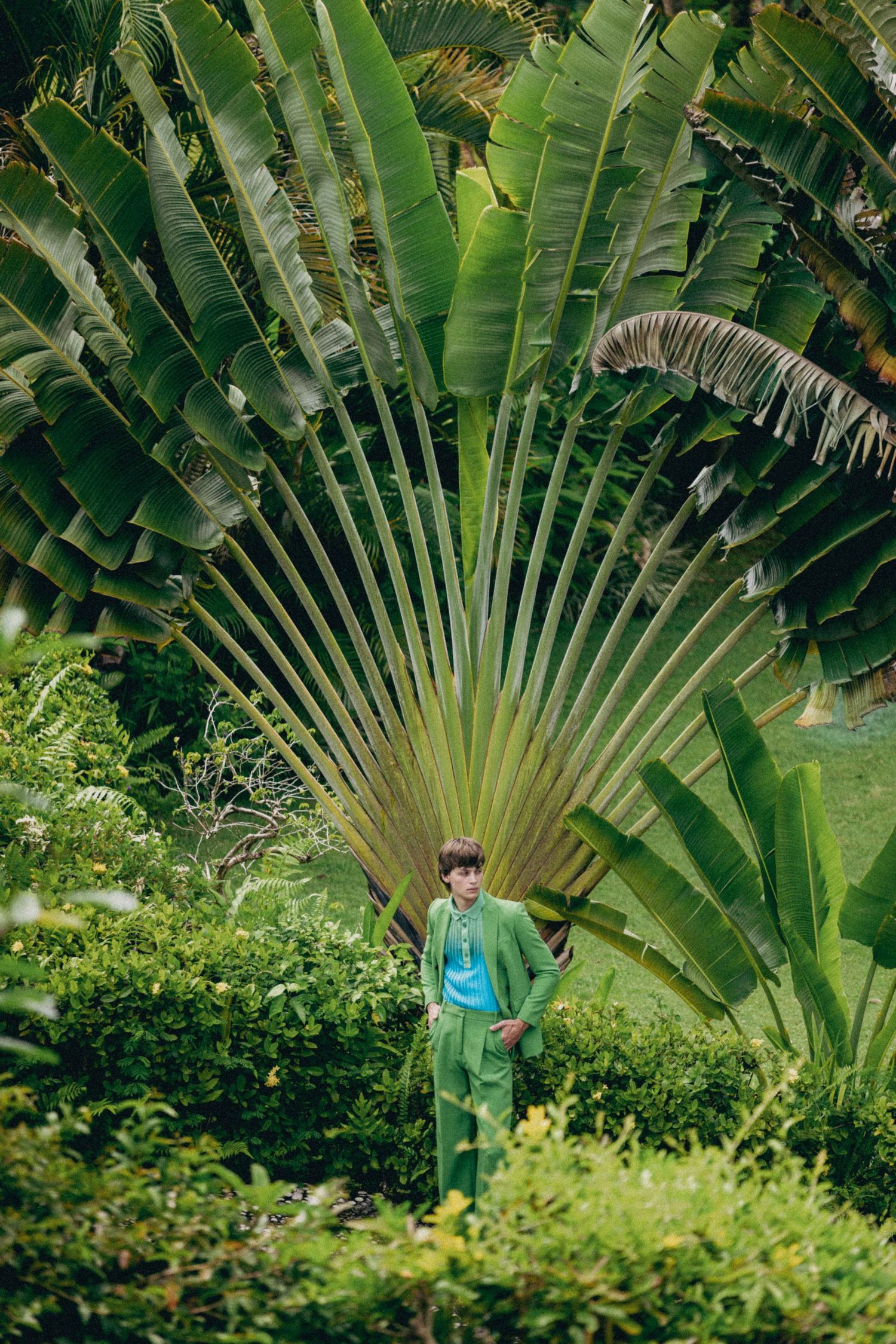Stylish outfit photographed against dramatic tropical fan palm backdrop.