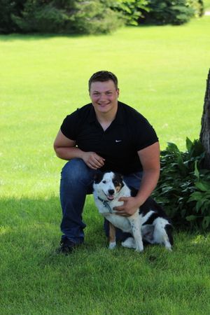 Person sitting on grass with a friendly black and white dog in a sunny garden setting.