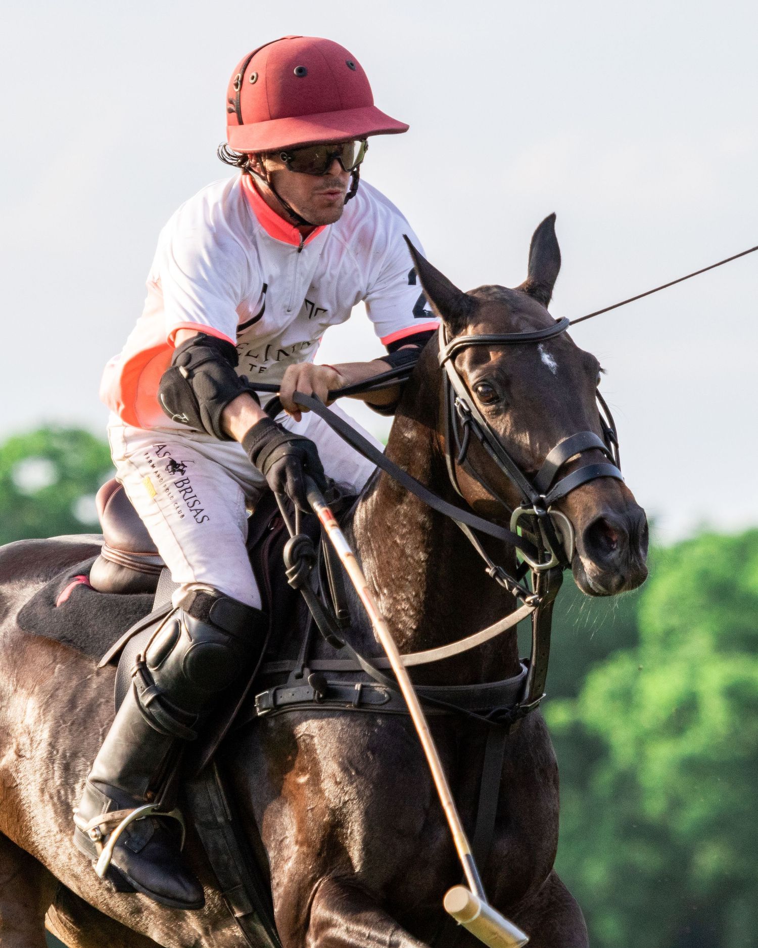 Polo