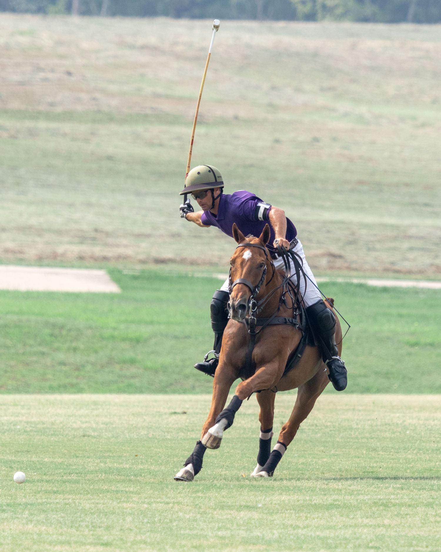 Polo Mason Wroe