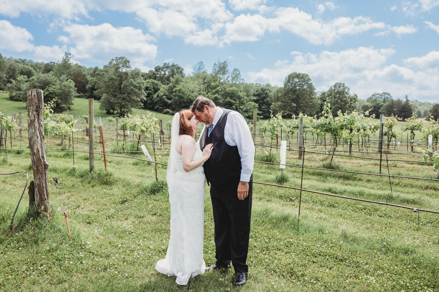 A romantic vineyard wedding scene with rows of grapevines under blue skies.