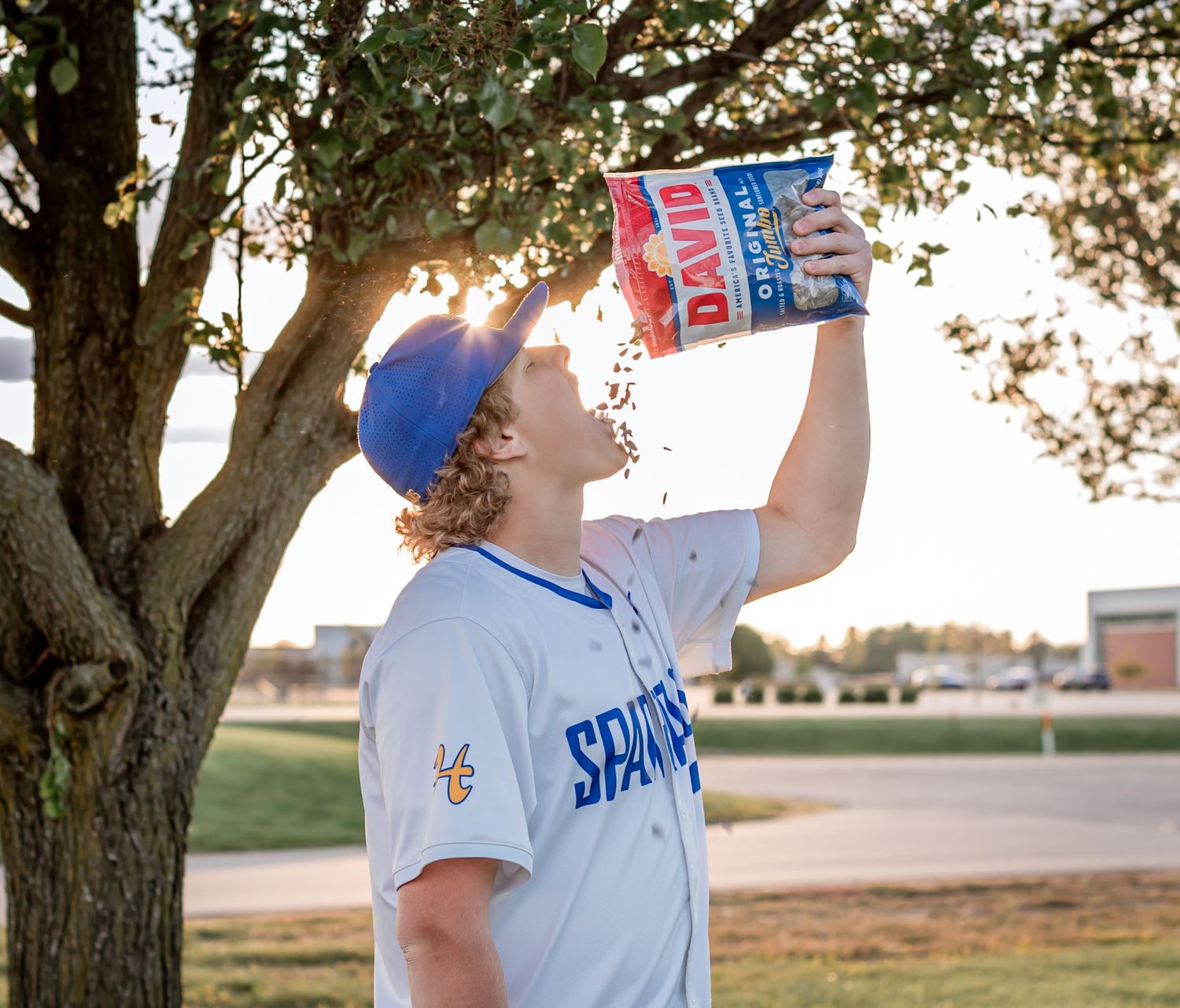 Baseball player in Spartans uniform pouring David sunflower seeds into his mouth outdoors near a tree.