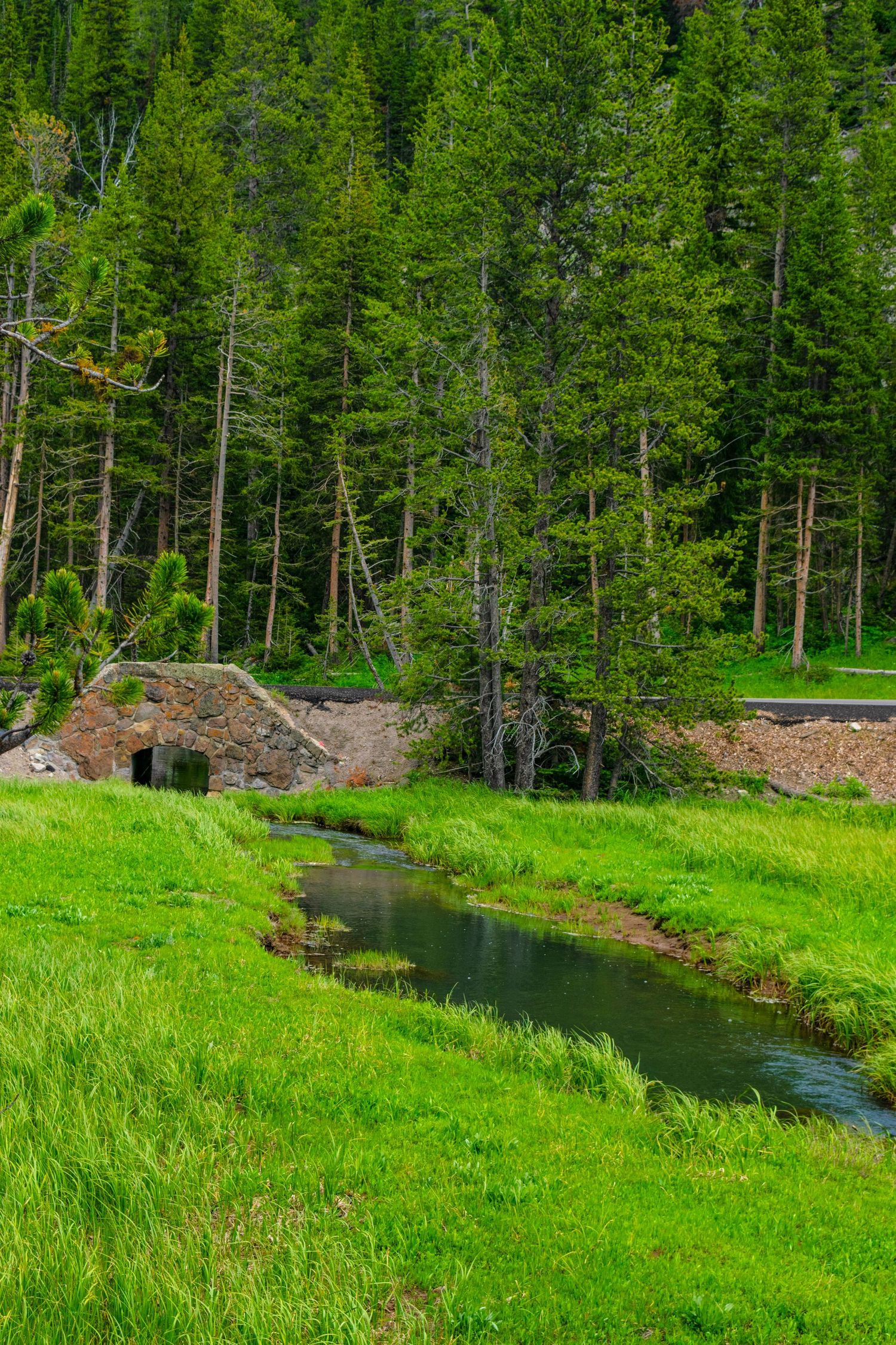 Tranquil stream winding through lush green meadow with dense pine forest and stone structure in background.