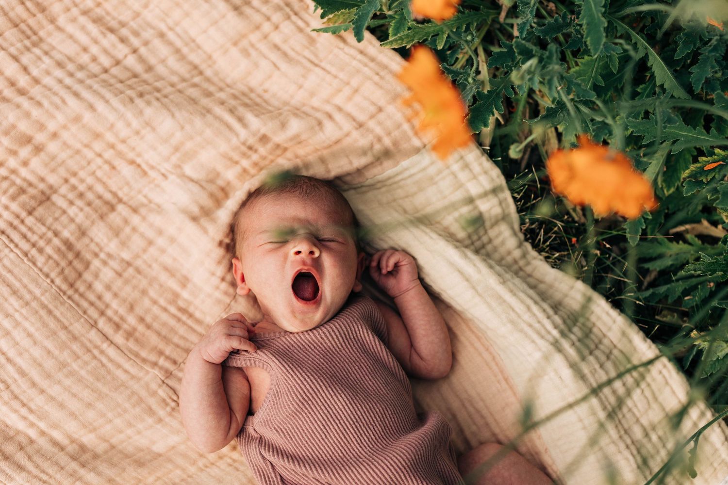 Newborn baby yawning while lying on beige blanket next to greenery and orange flowers.