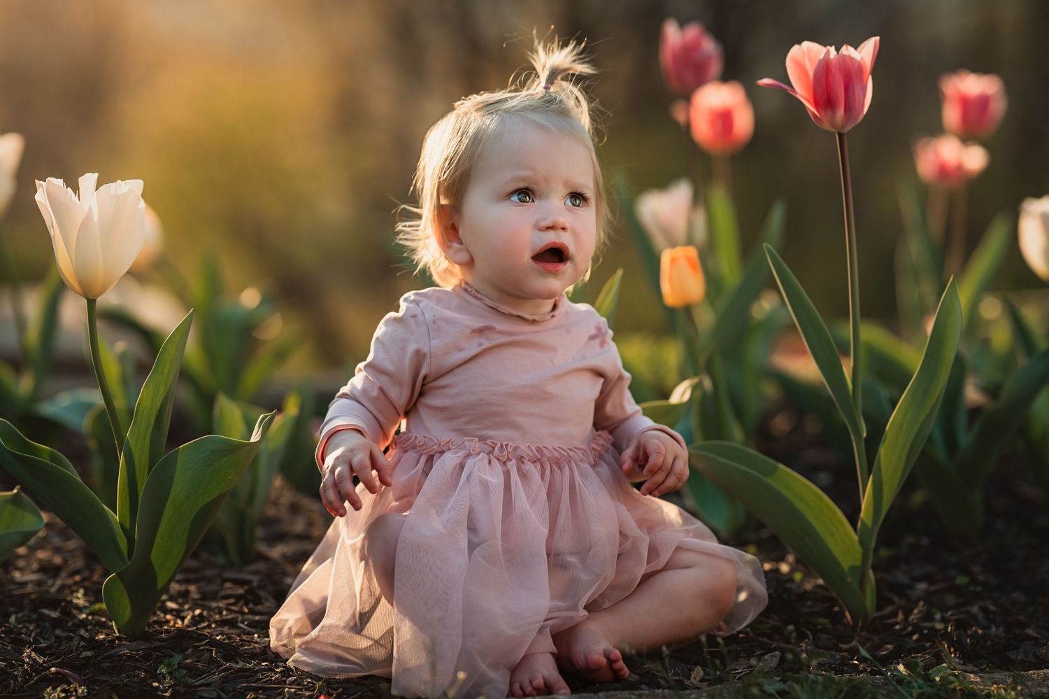 baby in pink dress sits in a bed of tulips at sunset