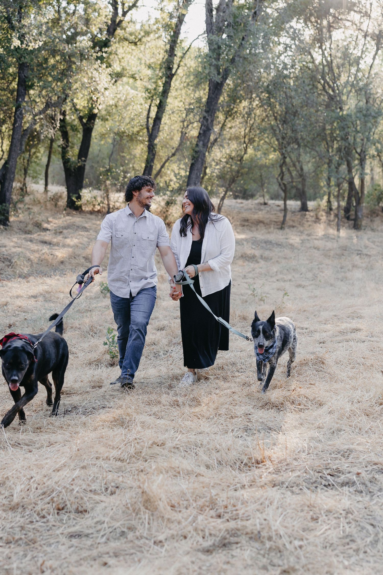 A couple walks their two dogs through a scenic woodland area covered in dry golden grass on an autumn afternoon.
