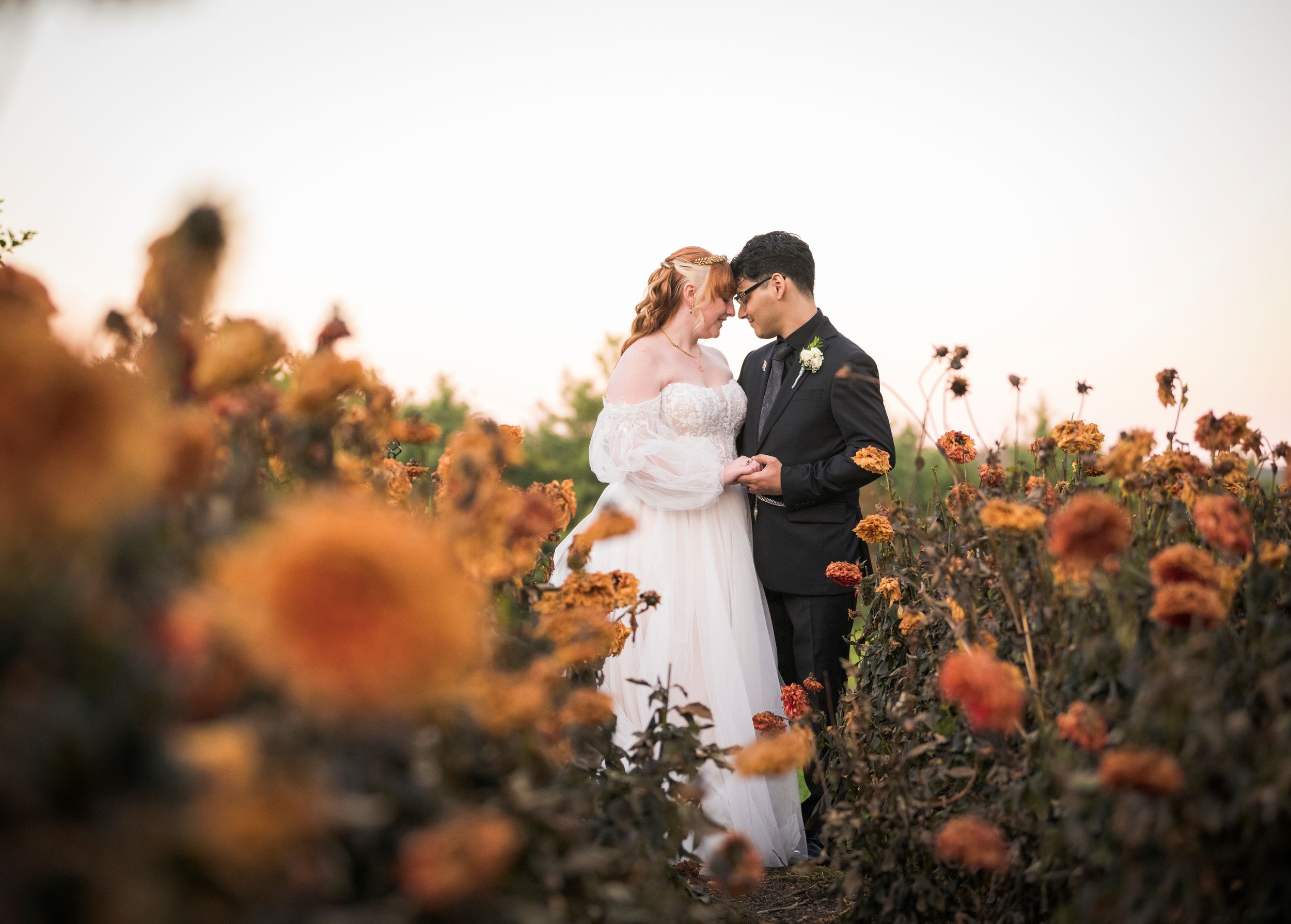 A newlywed couple stands in a glowing sunflower field during golden hour sunset.