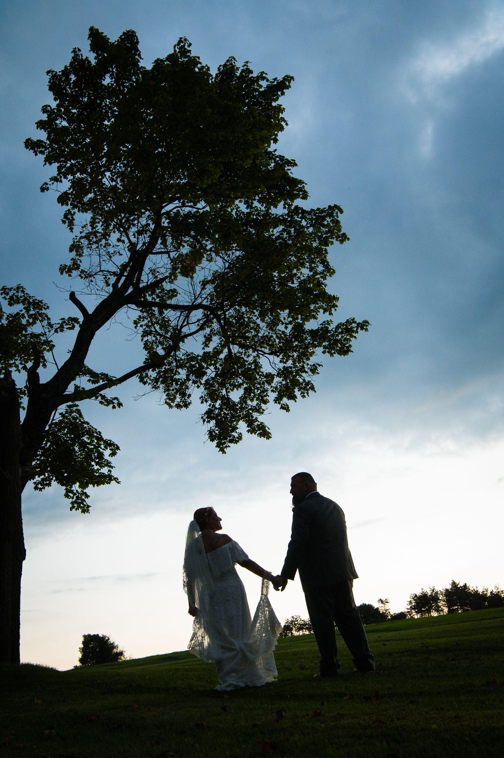 Silhouette of a couple holding hands on a hilltop at sunset with a large tree against dramatic sky.