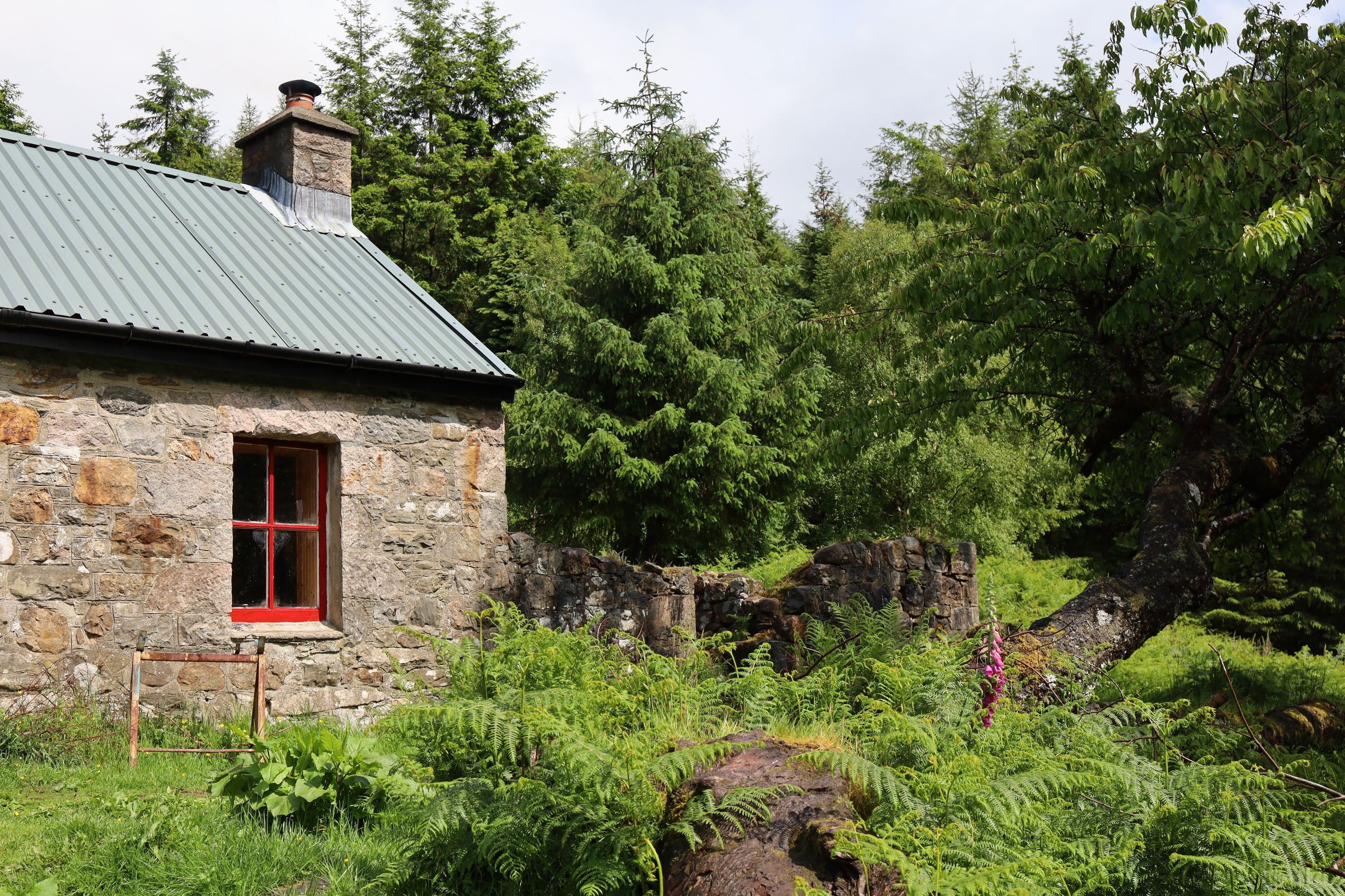 Rustic stone cottage with red window trim stands amidst lush green forest and overgrown vegetation.