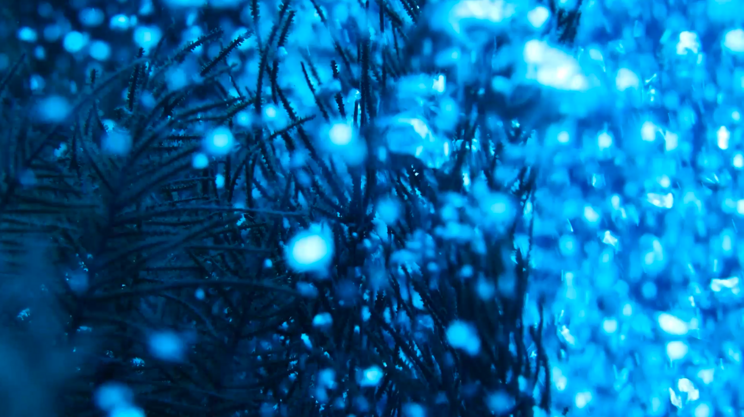 Abstract blue bokeh background with blurred glowing particles creating a magical underwater effect.