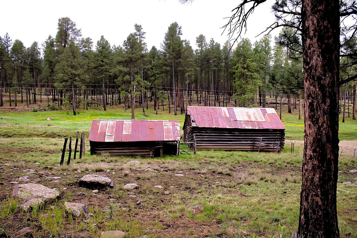 Alpine, AZ