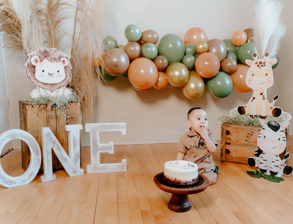 Cake Smash Session- Juve Photography Saint Paul Minnesota
