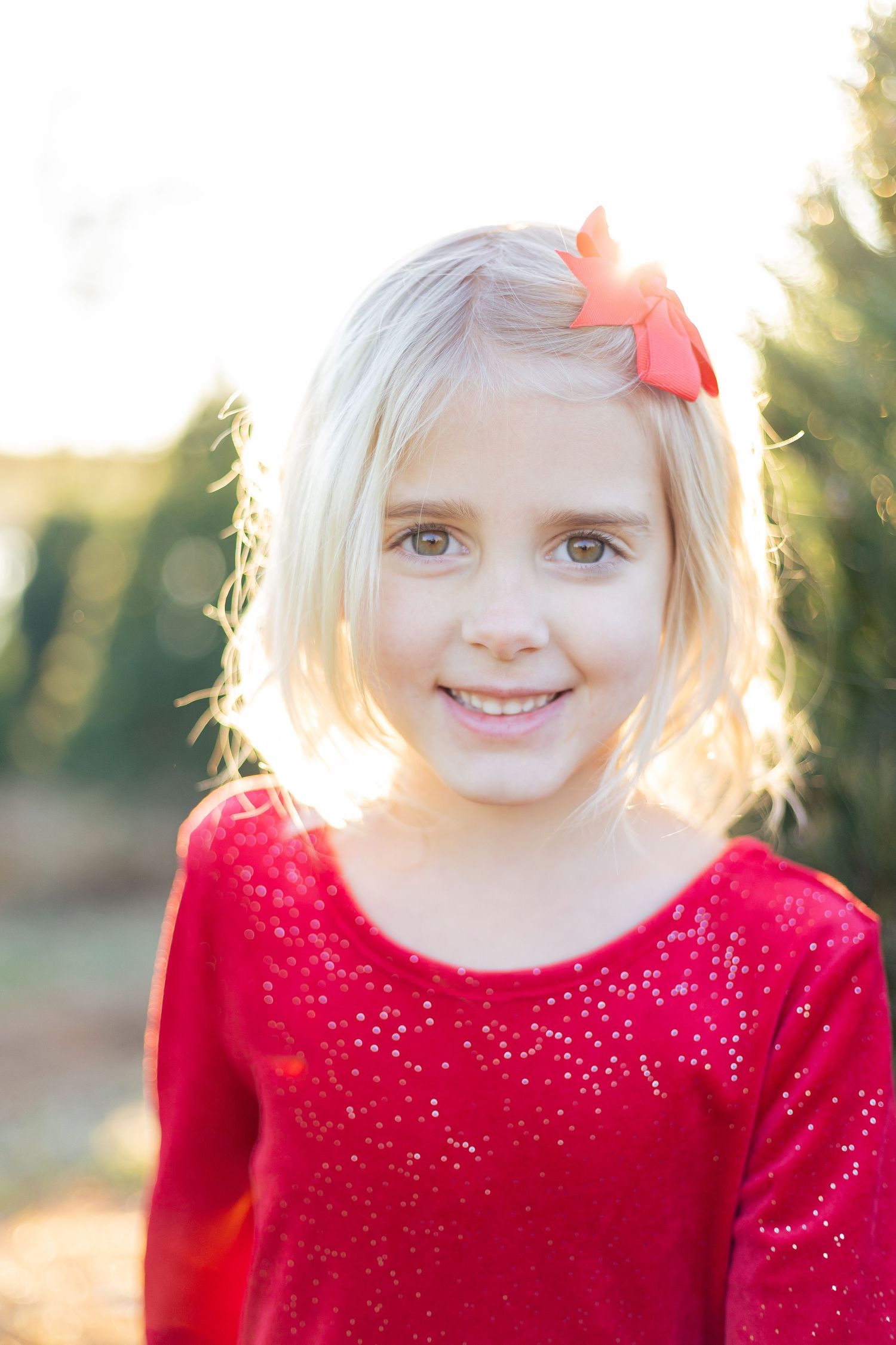 christmas tree farm session belleville illinois