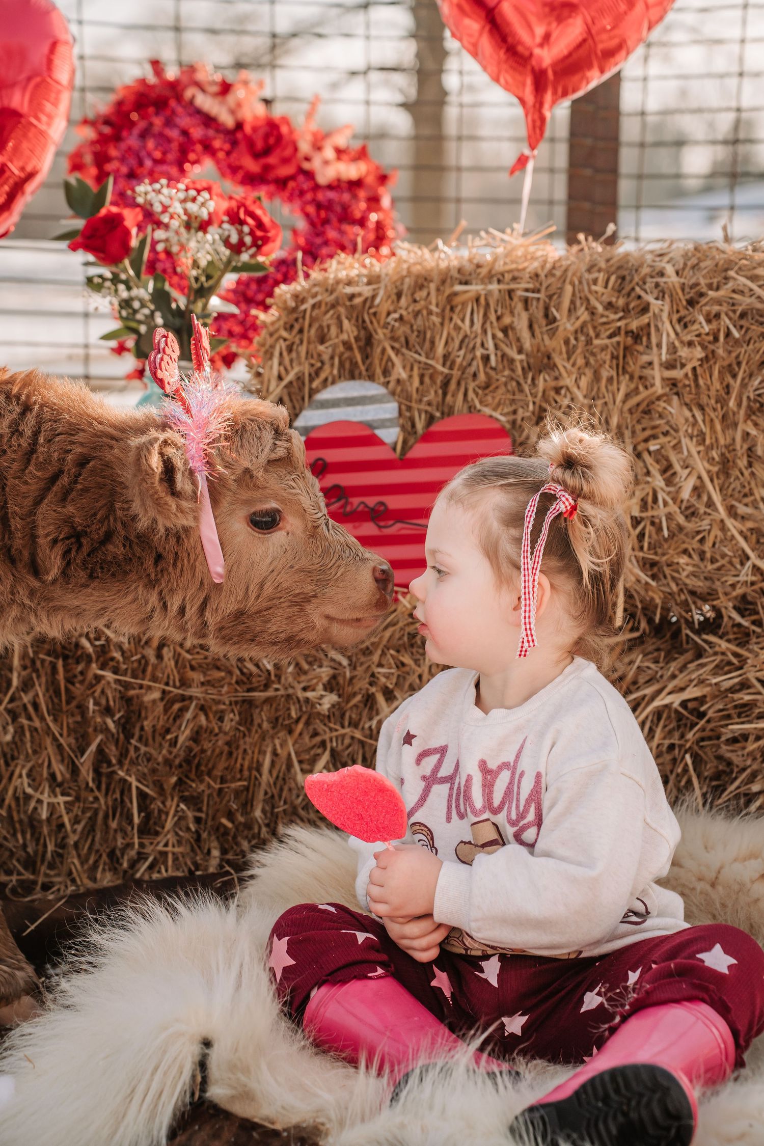 Toddler girl sitting cross-legged on fur rug facing a small calf amid Valentine's Day hay bale decor with hearts and flowers.