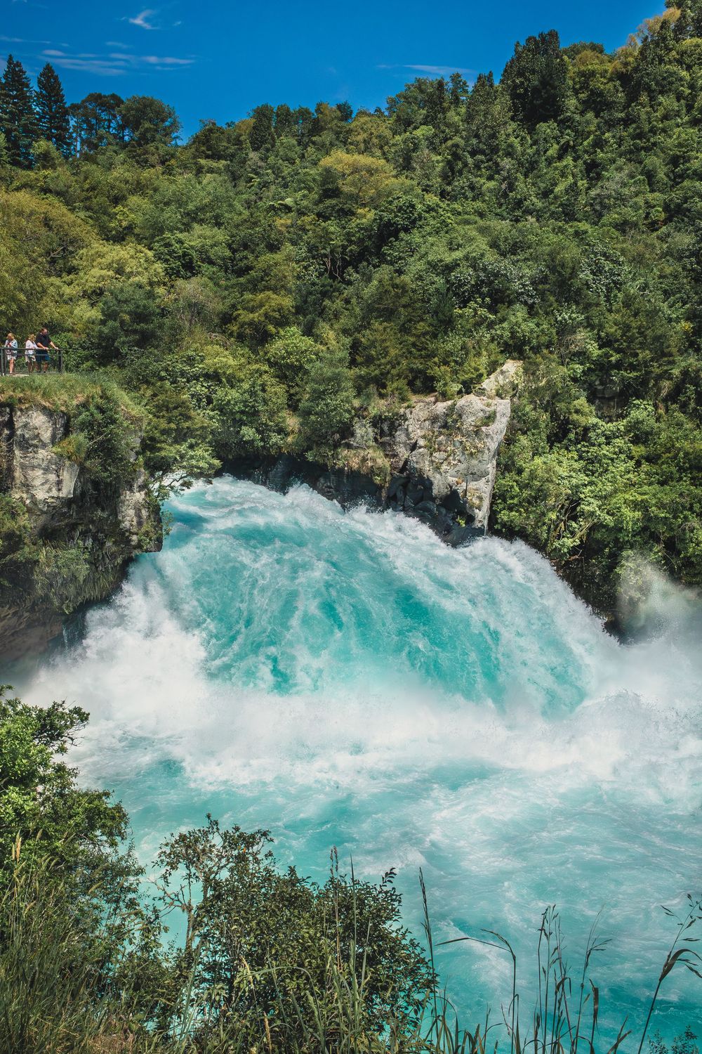 Powerful turquoise waters of Huka Falls cascade through rocky cliffs surrounded by lush green forest in New Zealand.
