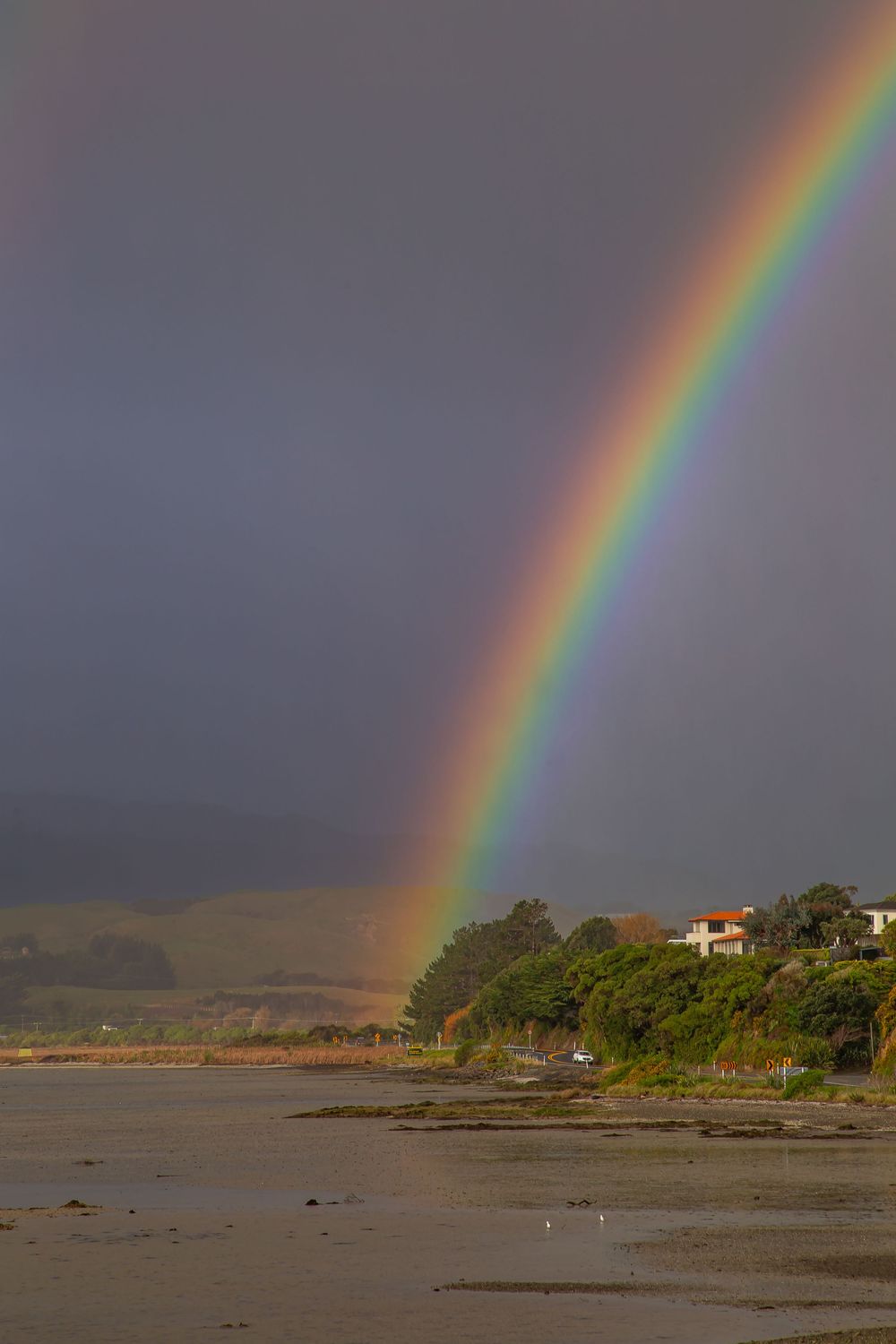 A vibrant rainbow arches over a coastal shoreline with houses and trees visible in the distance during stormy weather.