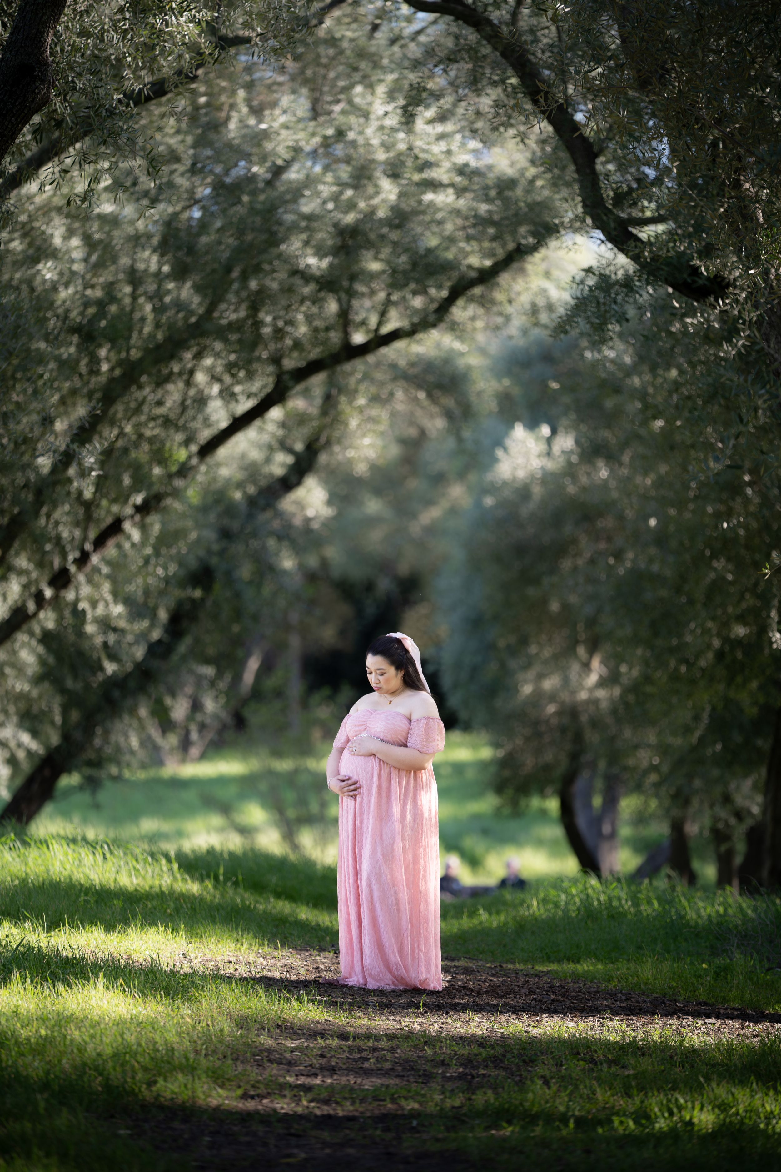 Maternity portrait at Jensen Botanical Garden in Carmichael by Carmichael photographer, Ashley Nicole Baeza.