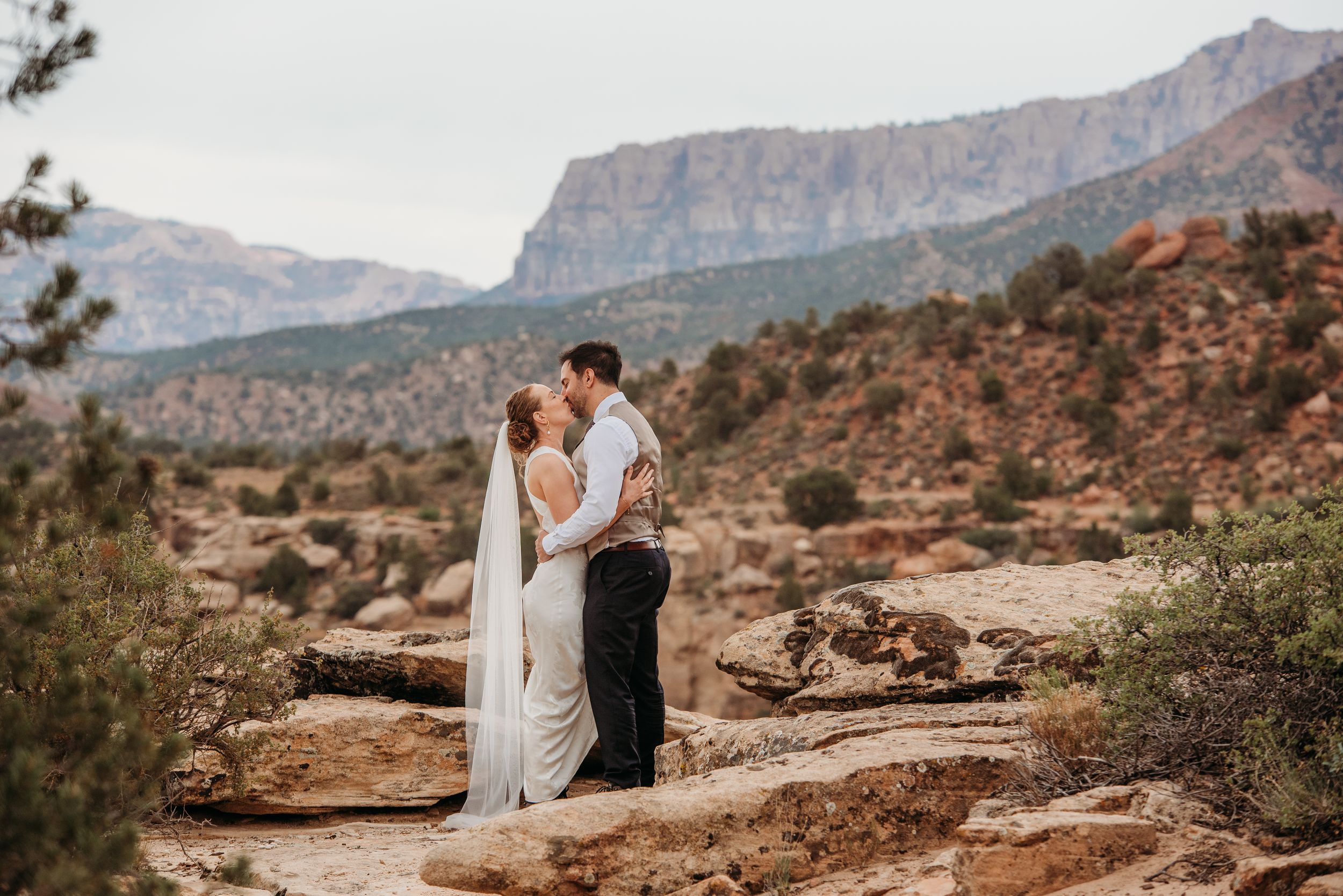 Wedding couple holding hands in mountain meadow surrounded by evergreen trees.