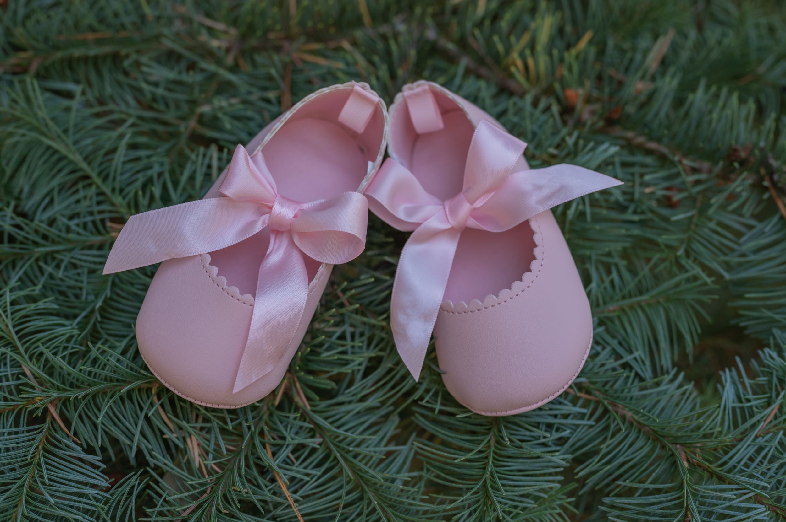 Delicate pink baby shoes with bows placed on green pine branches.