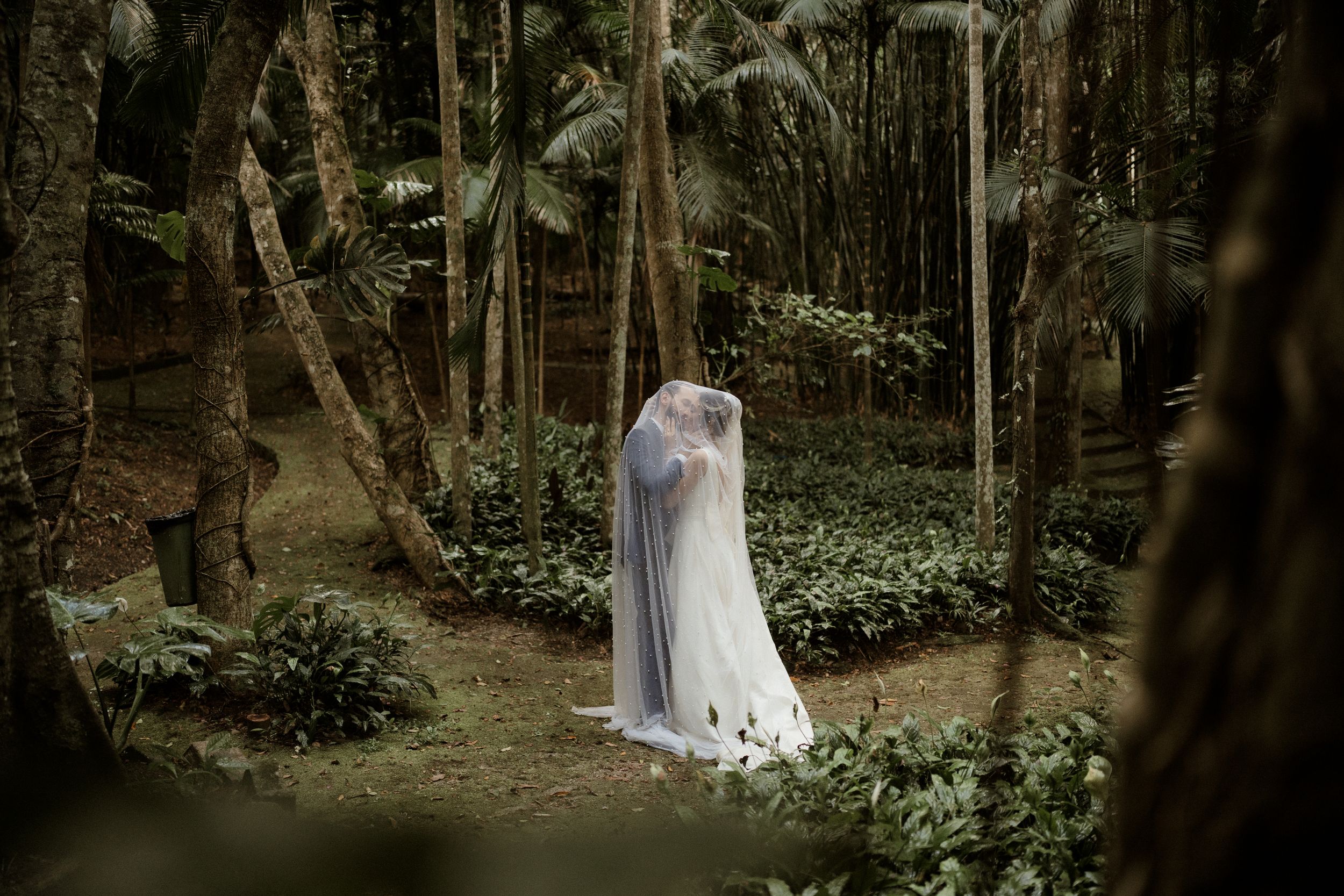 A ghostly figure in a white dress stands among trees in a mystical forest setting surrounded by green foliage.