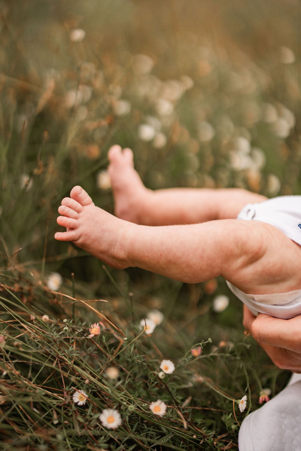 Tiny baby feet resting in a field of delicate white wildflowers on a sunny day.