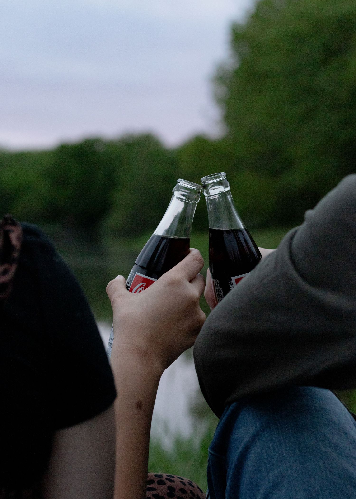 People toasting with wine glasses at dusk by a lake.