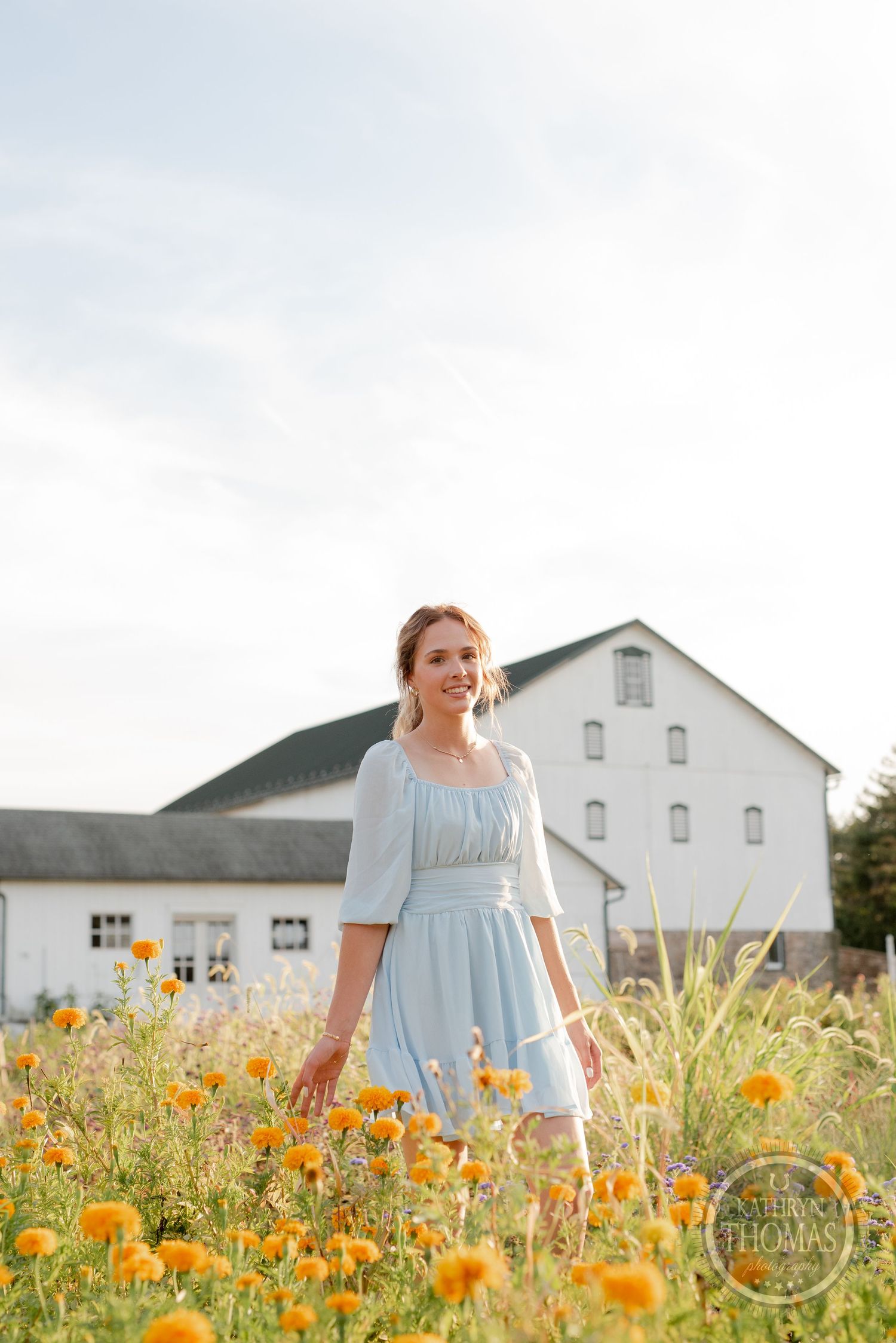 A light blue dress stands out against vibrant orange flowers in a field with a white barn backdrop.